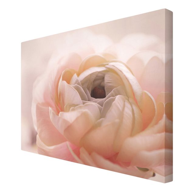 Canvas schilderijen Focus On Light Pink Flower