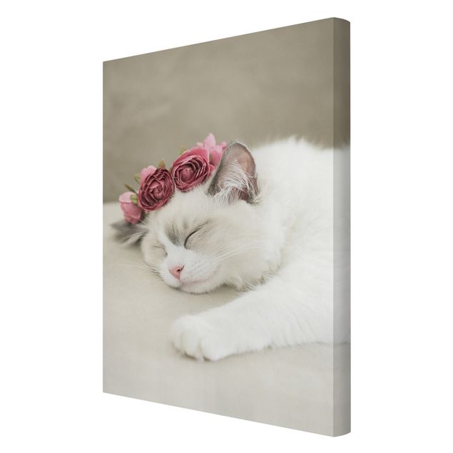 Canvas schilderijen Sleeping Cat with Roses