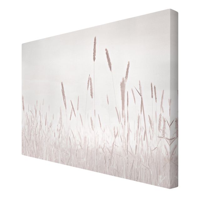 Canvas schilderijen Summerly Reed Grass
