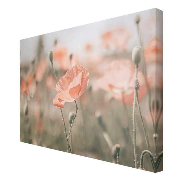 Canvas schilderijen Sun-Kissed Poppy Fields