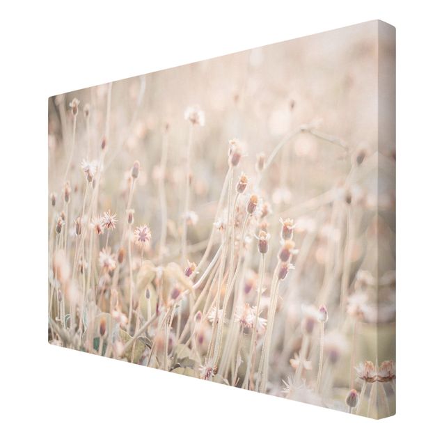 Canvas schilderijen Flowering Meadow In the Sun