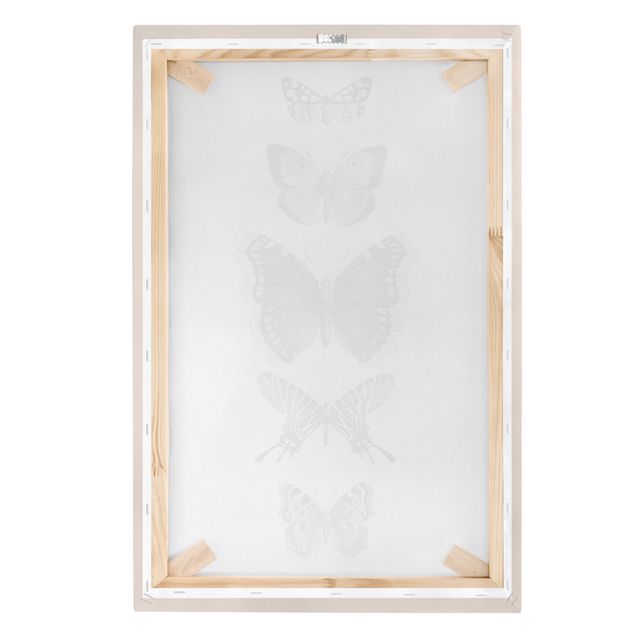 Canvas schilderijen Ink Butterflies On Beige Backdrop