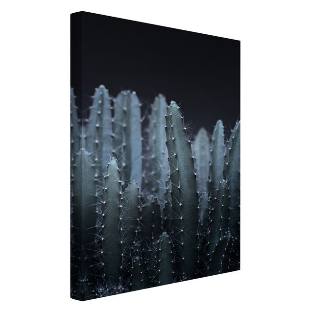 Canvas schilderijen Desert Cactus At Night