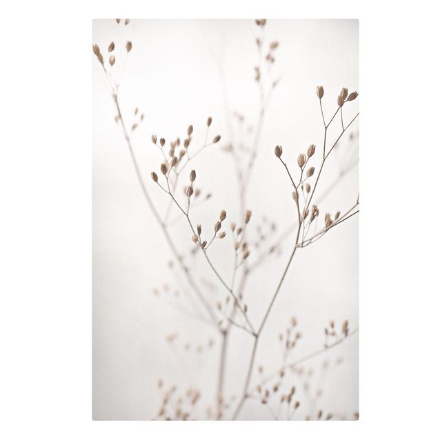 Canvas schilderijen Delicate Buds On A Wildflower Stem