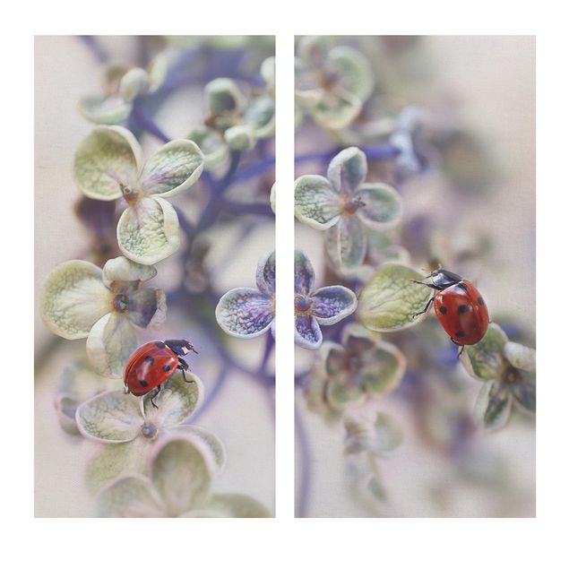 Canvas schilderijen - 2-delig  Ladybird In The Garden