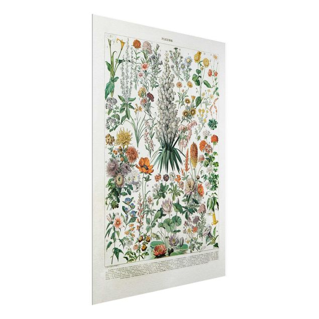 Glasschilderijen Vintage Board Flowers I