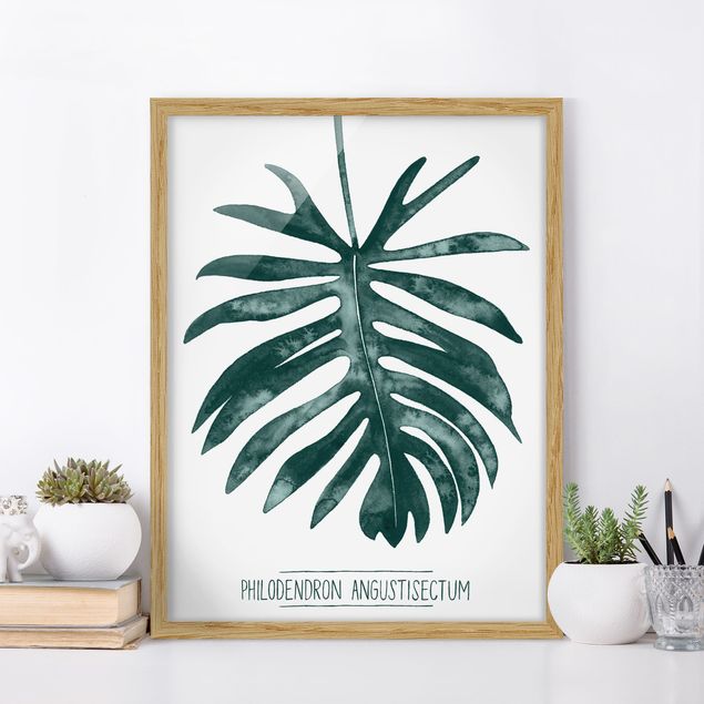 Ingelijste posters Emerald Philodendron Angustisectum
