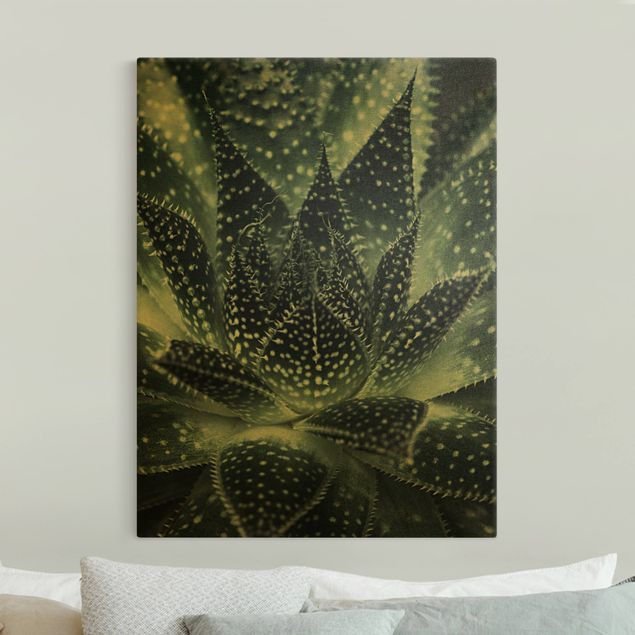 Canvas schilderijen - Goud Cactus Drizzled With Starlight At Night