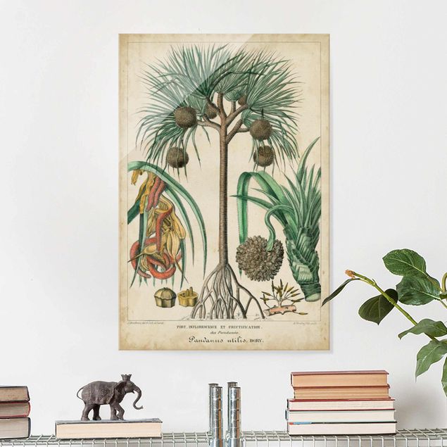 Magnettafel Glas Vintage Board Exotic Palms I