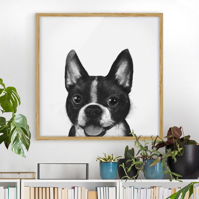 Ingelijste posters Illustration Dog Boston Black And White Painting