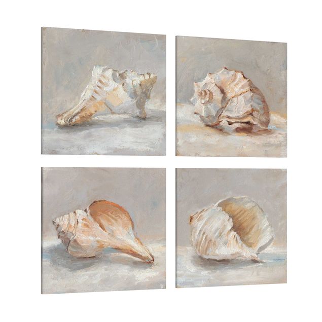 Canvas schilderijen - 4-delig Shell Study Set II