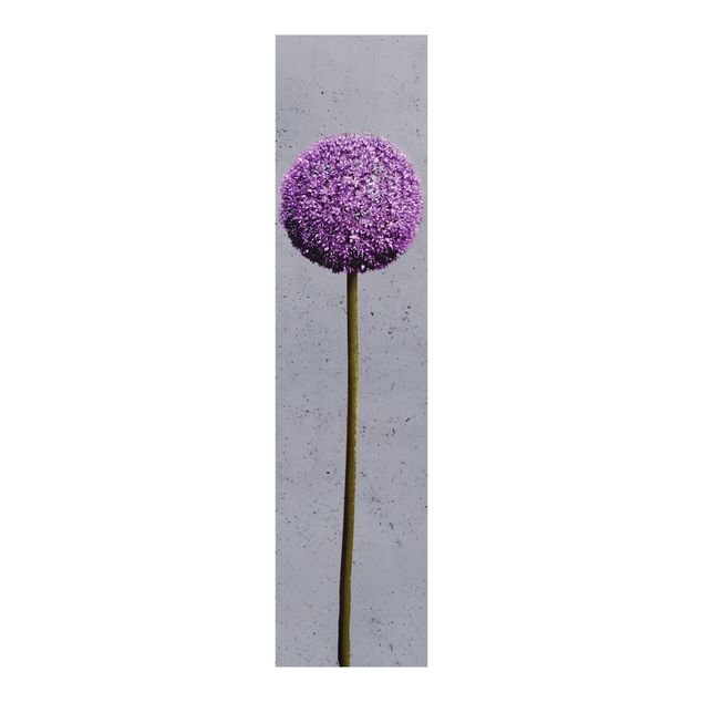 Schuifgordijnen Allium Round-Headed Flower