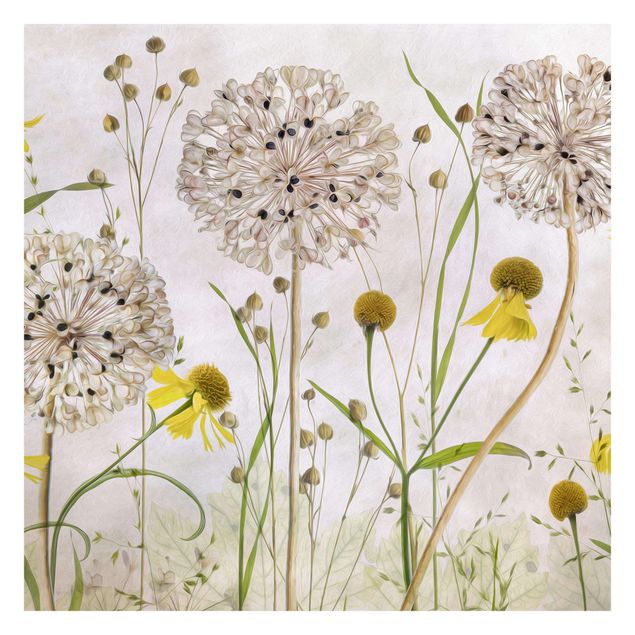 Fotobehang - Allium And Helenium Illustration