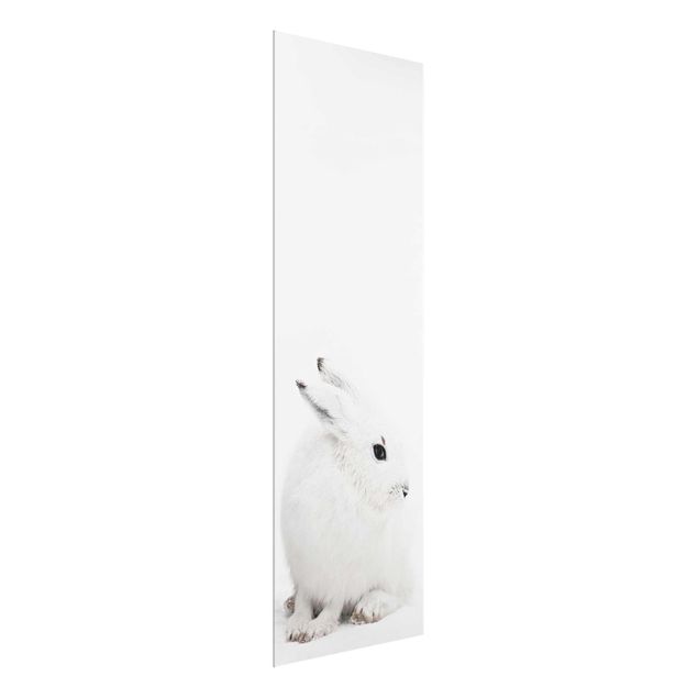 Glasschilderijen Arctic Hare