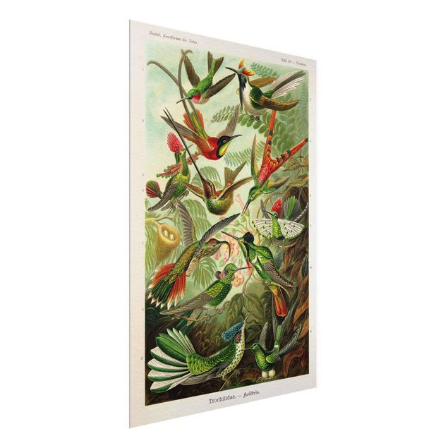 Glasschilderijen Vintage Board Hummingbirds