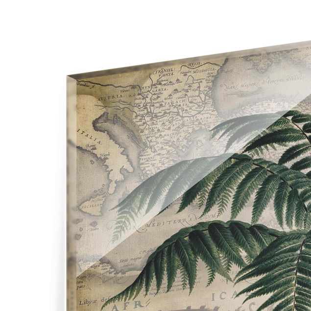 Glasschilderijen Vintage Collage - Palm And World Map
