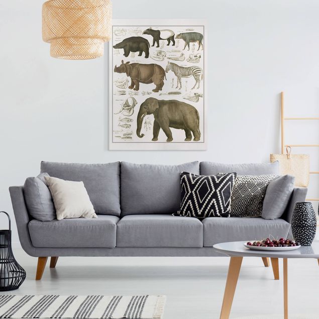 Canvas schilderijen Vintage Board Elephant, Zebra And Rhino