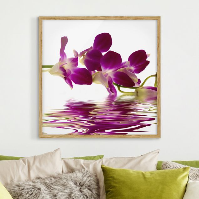 Ingelijste posters Pink Orchid Waters