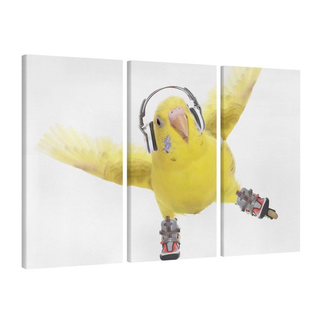 Canvas schilderijen - 3-delig Skate Parakeet