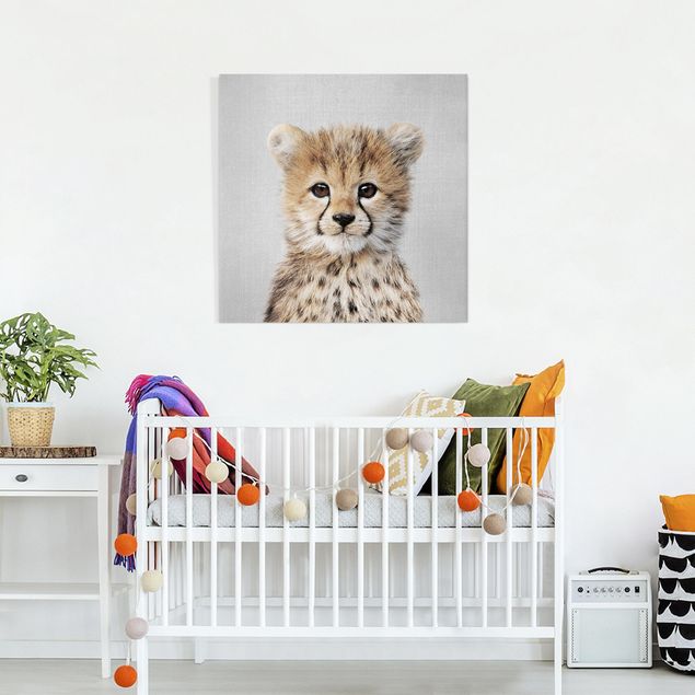 Leinwandbild - Baby Gepard Gino - Quadrat 1:1