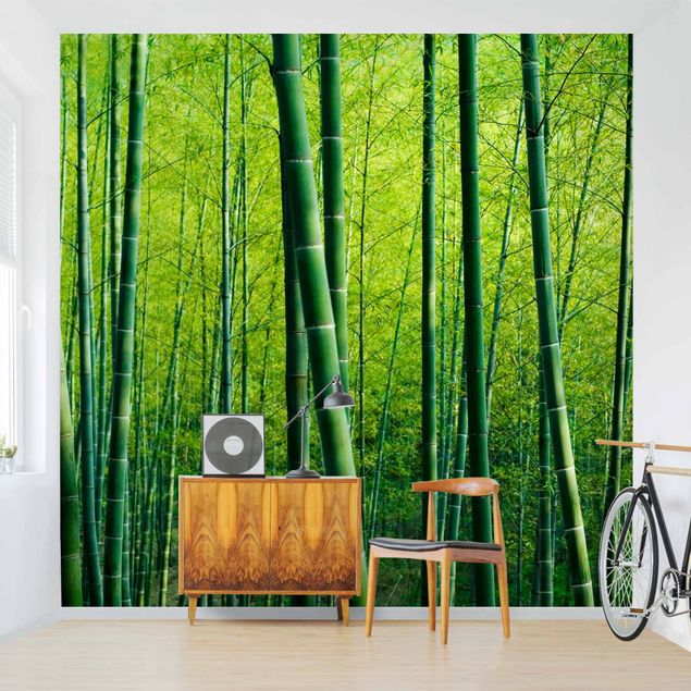 Fotobehang Bamboo Forest