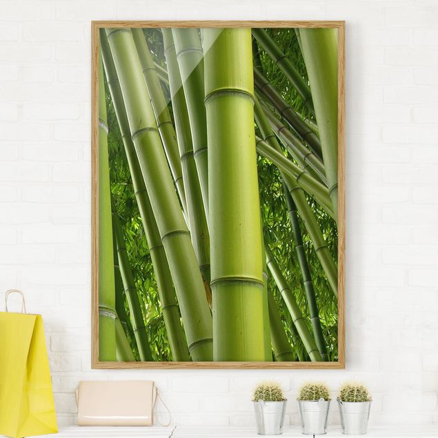 Ingelijste posters Bamboo Trees No.2
