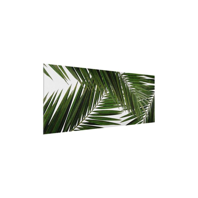 Glasschilderijen View Through Green Palm Leaves