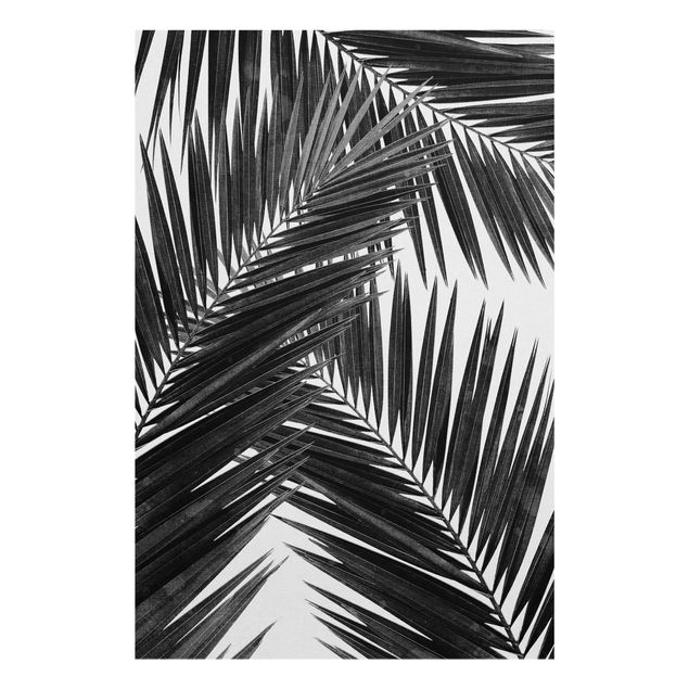Glasschilderijen View Through Palm Leaves Black And White