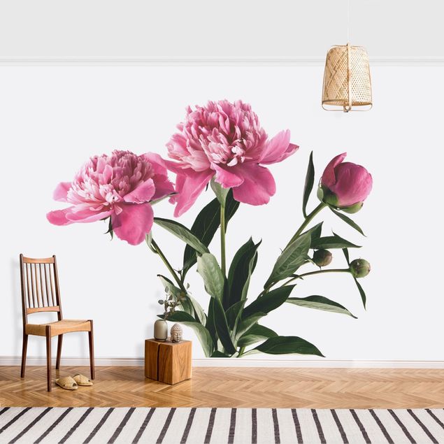 Fotobehang Flowers And Buds Pink On White