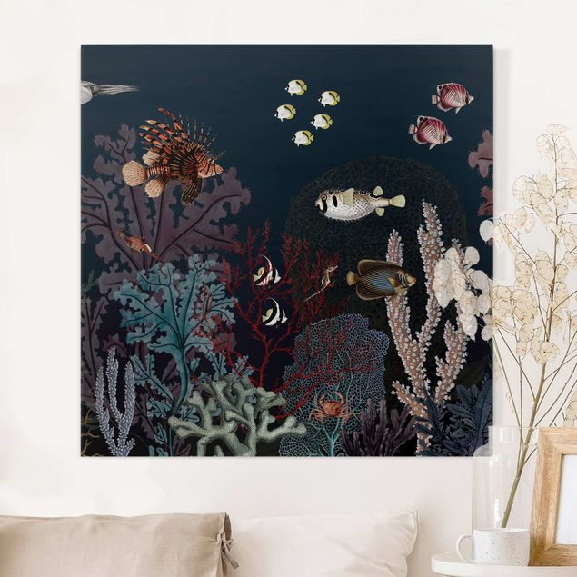 Kikki Belle Colourful coral reef at night