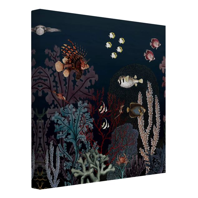 Canvas schilderijen - Colourful coral reef at night