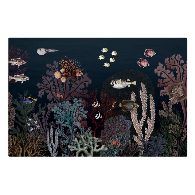 Canvas schilderijen - Colourful coral reef at night