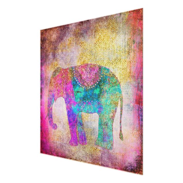 Glasschilderijen Colourful Collage - Indian Elephant