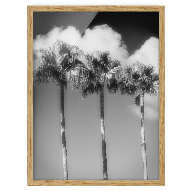 Ingelijste posters Palm Trees Against The Sky Black And White