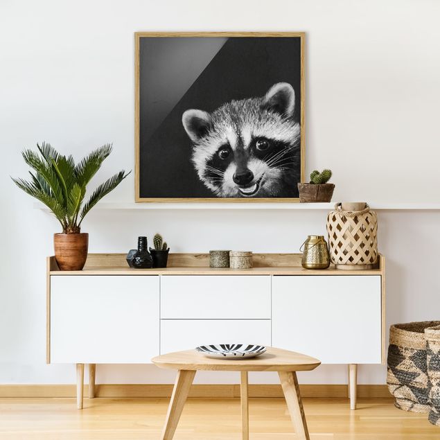 Ingelijste posters Illustration Racoon Black And White Painting