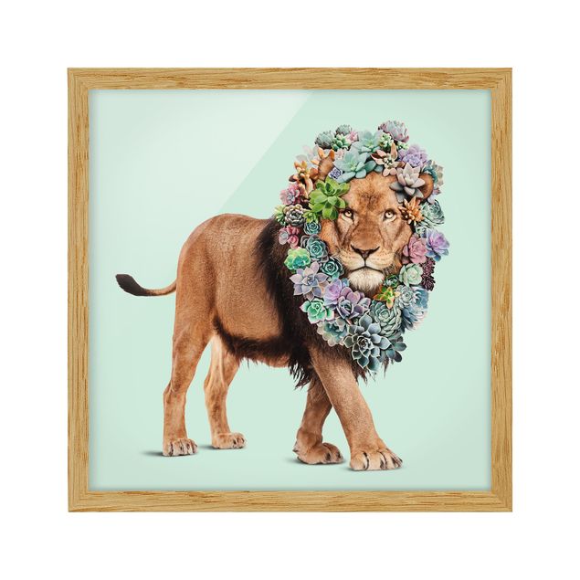 Ingelijste posters Lion With Succulents