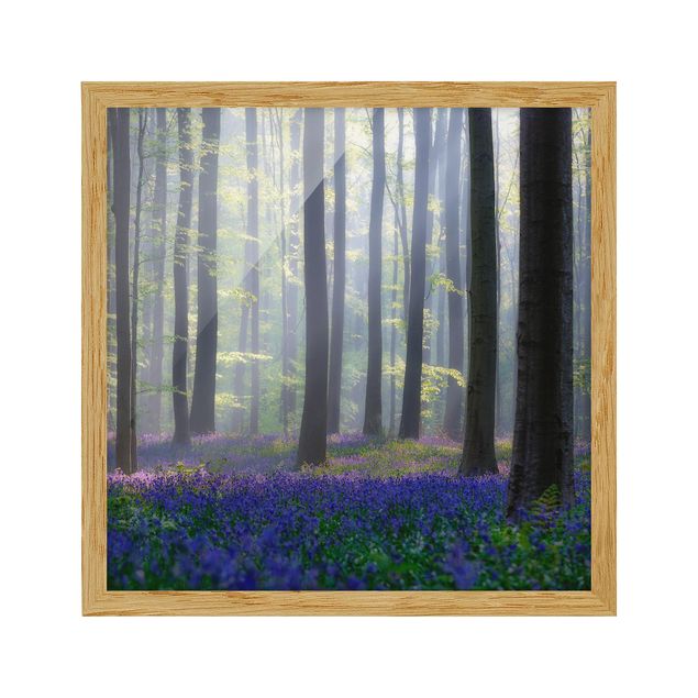 Ingelijste posters Spring Day In The Forest