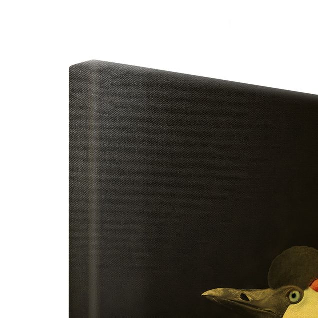 Canvas schilderijen - Goud Black Crowned Crane