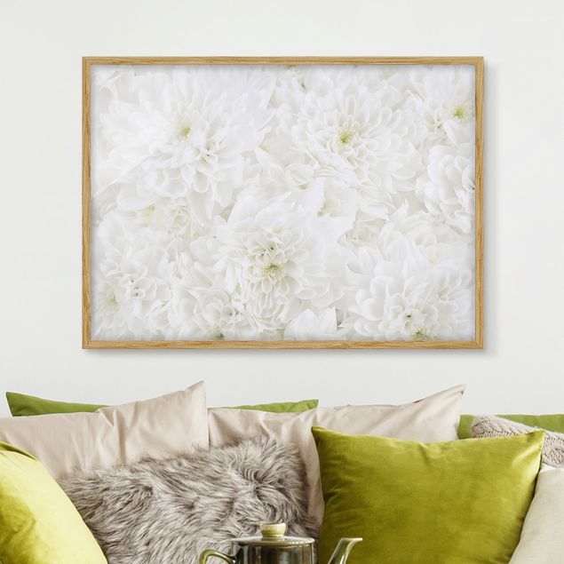Ingelijste posters Dahlias Sea Of Flowers White