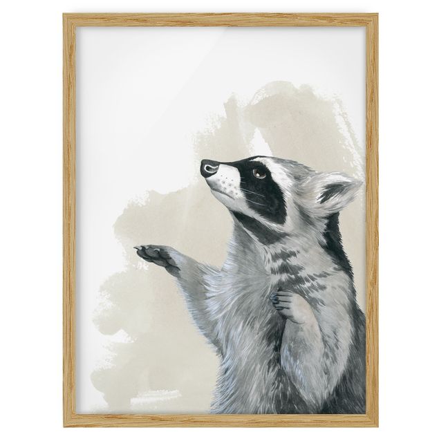Ingelijste posters Forest Friends - Raccoon