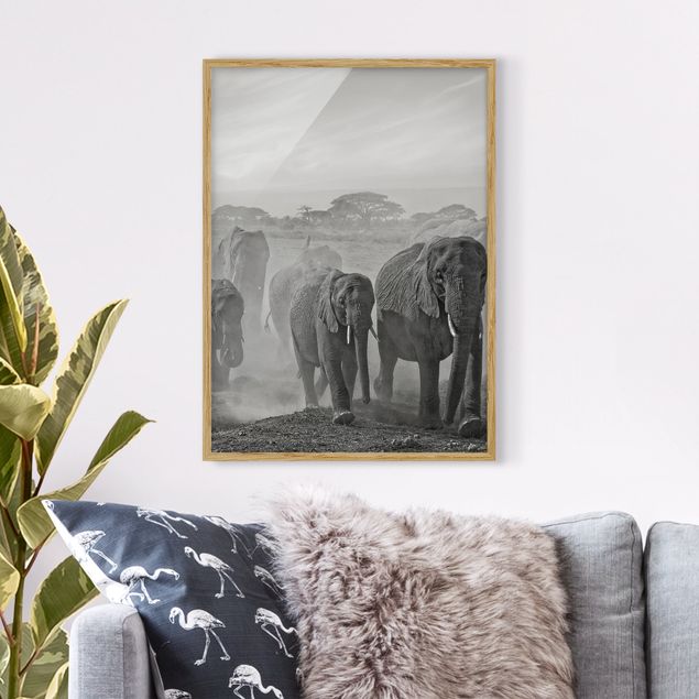 Ingelijste posters Herd Of Elephants