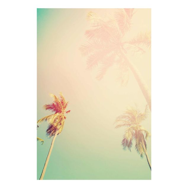 Glasschilderijen Tropical Plants Palm Trees At Sunset IIl