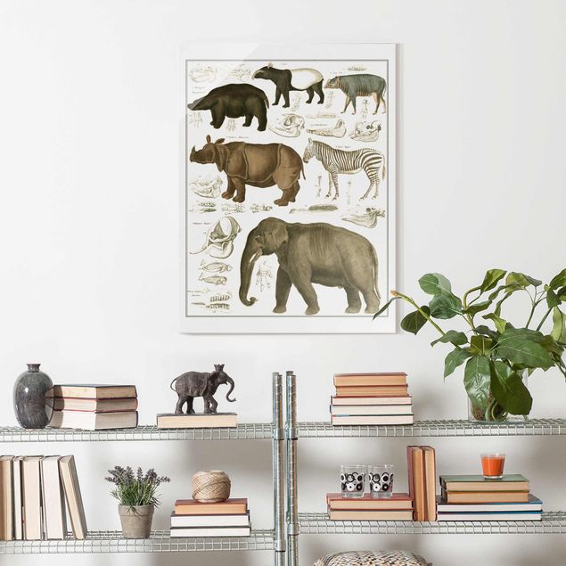 Glasschilderijen Vintage Board Elephant, Zebra And Rhino