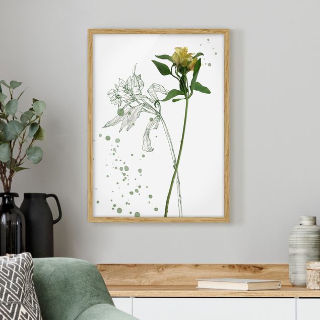Ingelijste posters Botanical Watercolour - Lily