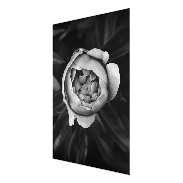 Glasschilderijen Peonies In Front Of Leaves Black And White