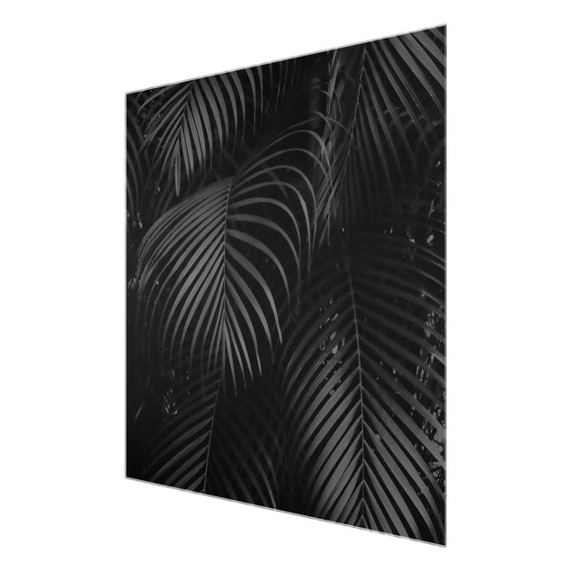 Glasschilderijen Black Palm Fronds