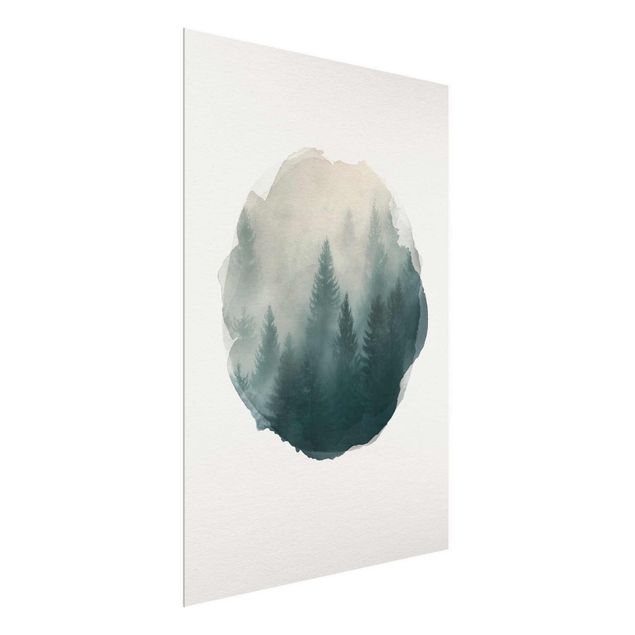 Glasschilderijen WaterColours - Coniferous Forest In Fog