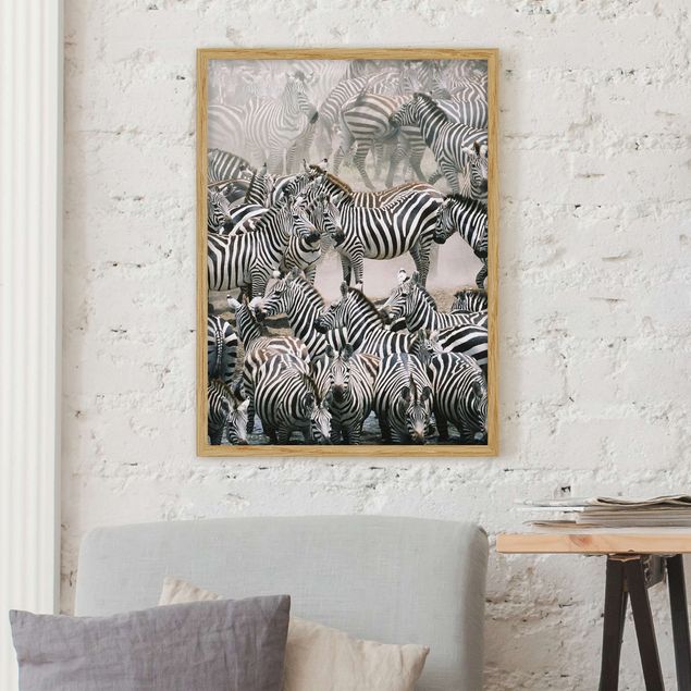 Ingelijste posters Zebra Herd