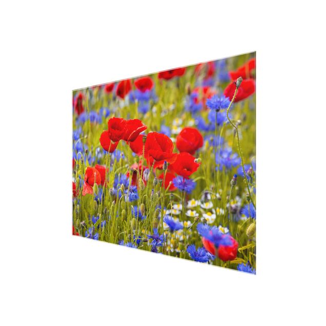 Glasschilderijen Summer Meadow With Poppies And Cornflowers
