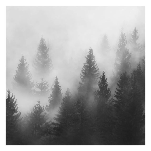 Fotobehang Coniferous Forest In The Fog Black And White